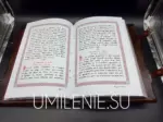 Святое Евангелие напрестольное из кожи с пятью деревянными вставками — изображение 7